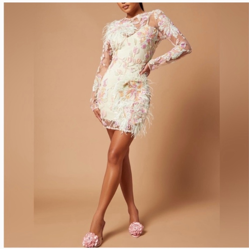 NWT Fashion Nova Laney Feather Sequin Mini Dress (M)